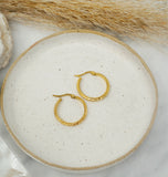 Gold Textured Hoops